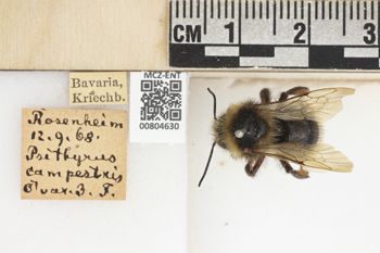 Media type: image;   Entomology 804630 Aspect: labels